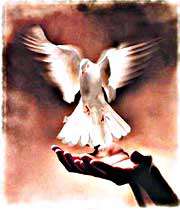 مراکز ترک اعتیاد استان آذربایجان غربی