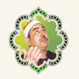 زندگینامه استاد محمد محمود طبلاوى