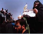 اسارت نگاه آزادگان را متحول کرد