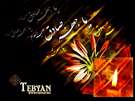 ویژه نامه شهادت امام صادق ع سال 86 - تصاویر ویژه