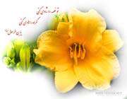 شکوفه ای بر شاخسار درخت رسالت