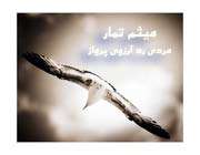 ماجرای شهادت میثم تمار
