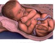 نکاتی برای بارداری سالم