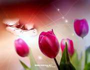 شیعیان ما همتا ندارند!!