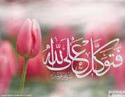 توكل حقيقي چگونه است؟