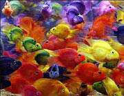 هيجان ، آرامش ، سكوت