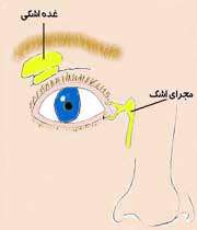 بررسی اشک و وظایف آن