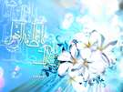 ويژه نامه ولادت حضرت زهرا (س) سال 87 – تصاوير ويژه