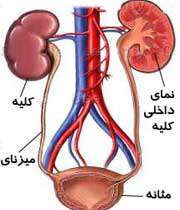 چرا به خاطر بی اختیاری ادرار، احساس شرم می کنید؟