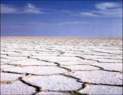 چکه چکه تا دریا!