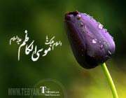 امام كاظم عليه السلام قهرمان صبر و استقامت در بند زندان