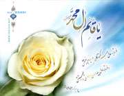 هدايت هاي حضرت مهدي (عج)