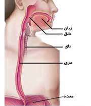 گلستان، قطب سرطان مری در جهان