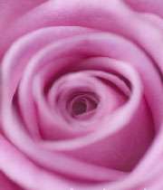 فاطمه ی ناکام و راز آن شب فاطمه ی ناکام و راز آن شب