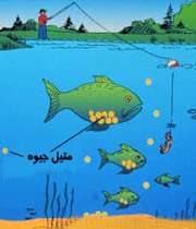 چه ماهی هایی جیوه دارند؟
