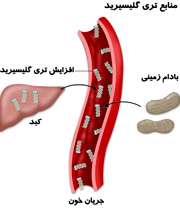 کتاب چربی خون (کلسترول خوب، کلسترول بد)