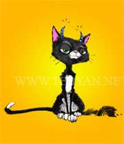 آسه برو، آسه بیا!