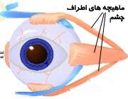 حلقه سیاه اطراف چشم