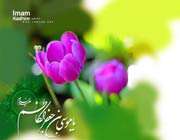 آورده‌اند که... (بر بال خاطرات امام کاظم)