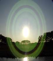 چرا شراب حرام است؟ دليل 10 فرمان خداوند