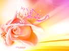اعطای ثواب هزار شهید