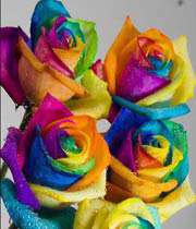 شاد زی ای کودک شیرین من