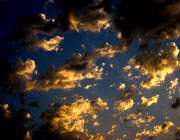 داستان و قصه در بوستان سعدی