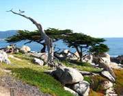 گذری بر فلسفه نام ماههای ایران زمین 1