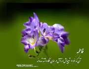 حضرت زهرا(علیهاالسلام) بر کرسی مادری