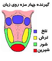 آیا مي ‌توان ذائقه را تغيير داد؟