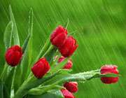 نگاهی به زندگی رهبر