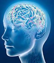 مغز، راست و دروغ را چگونه تشخیص می‌دهد؟