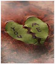 شایعه ای تخریب گر