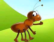 داستان « دوستی حشرات»