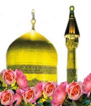 مردی که امام رضا(علیه السلام) را دید