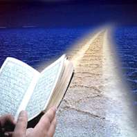 چرا کشورهای اسلامی ضعیف و عقب مانده اند؟