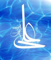 چرا علی(علیه السلام) سید اوصیاء است