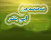 محمد بن ابی بکر؛ فرزند علی(علیه السلام) محمد بن ابی بکر؛ فرزند علی(علیه السلام)