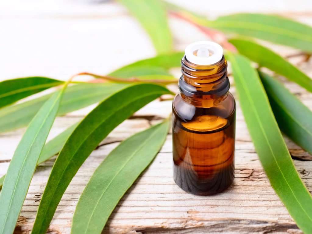 8 توصیه برای خواب راحت با وجود آلرژی 8 توصیه برای خواب راحت با وجود آلرژی