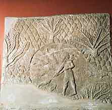 زندگی روزانه مردم بابل