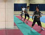 تکواندو علیه پینگ پنگ