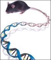 موجودات تراريخت(قسمت اول)