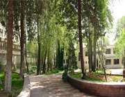 معرفی مرکز علوم و ستاره شناسی تهران