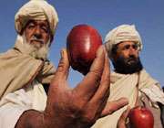 افغانستان در یک نگاه