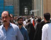شمردن جوجه های نمایشگاه!