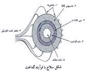 خوی وحشی علم