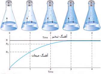 تعادل