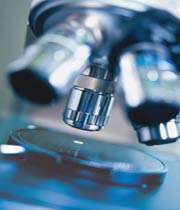 انواع پژوهش