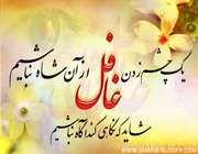 سهم ما در زمینه سازی ظهور