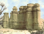 انواع فسیل و کاربرد آن